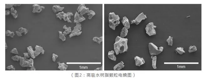 36020210923125212878 36020210923125212878