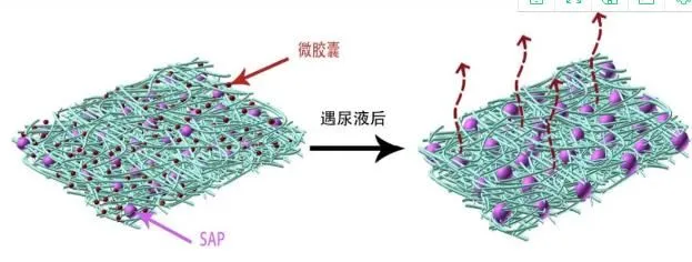 36020210923125427142 36020210923125427142